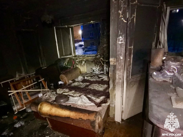 Собака и кошка погибли в пожаре на улице Свердлова в Мурманске