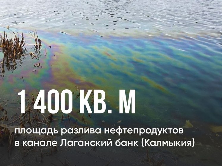 В Калмыкии опровергли фейковое сообщение о нефтяном пятне в Лаганском канале