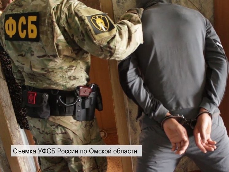 Задержанный в Омске иностранец получил 16 лет лишения свободы за пособничество террористам