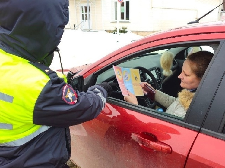 В Рязанской области сотрудники Госавтоинспекции провели акцию «Верный шаг»