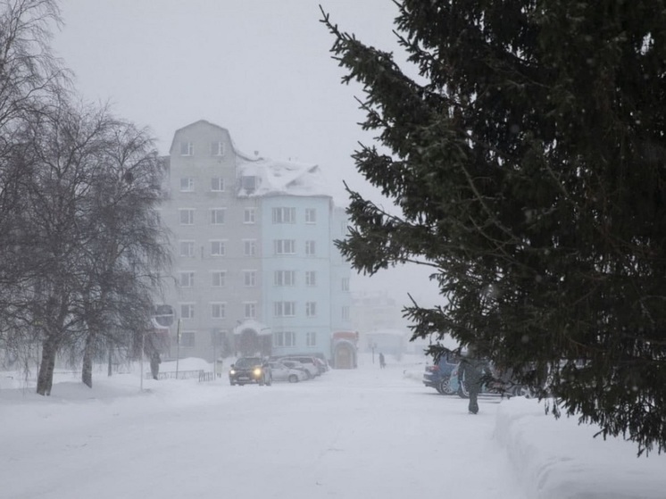 Жителей НАО предупредили о надвигающейся метели с ветром до 15 м/с