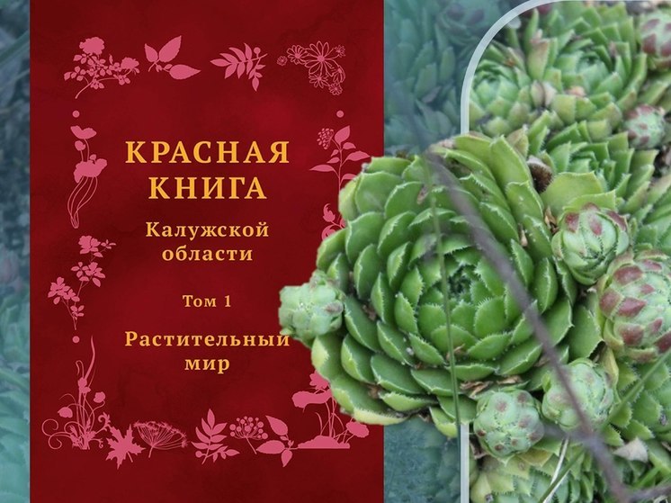 В Калужской области готовят к выпуску обновленное издание Красной книги региона