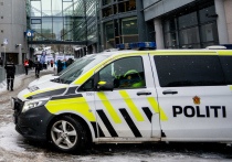 После инцидента норвежские активисты требуют переоценки учений иностранных армий


