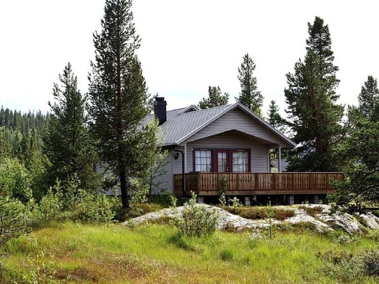 Глава Карелии предложил отдать часть лесфонда в Пряжинском районе под жилье