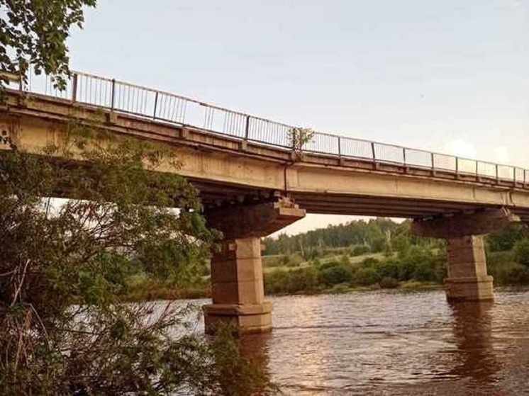 Мост в Амазаре начали проектировать через два года после паводка