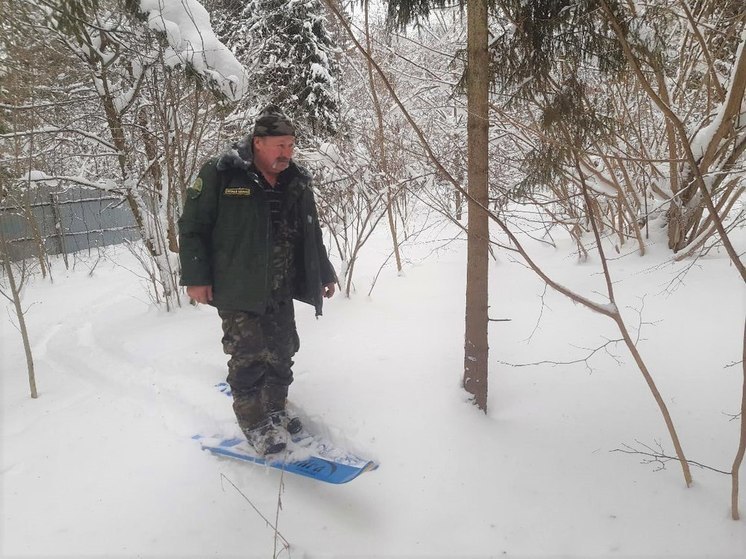 Самовольное занятие лесов входит в тройку самых частых нарушений
