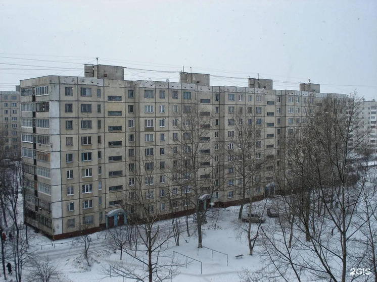 Подвал в Орле обработан от «трупного запаха», виновника не называют