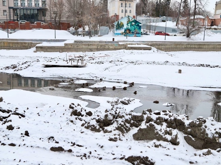 В Липецке приводят в порядок Комсомольский пруд