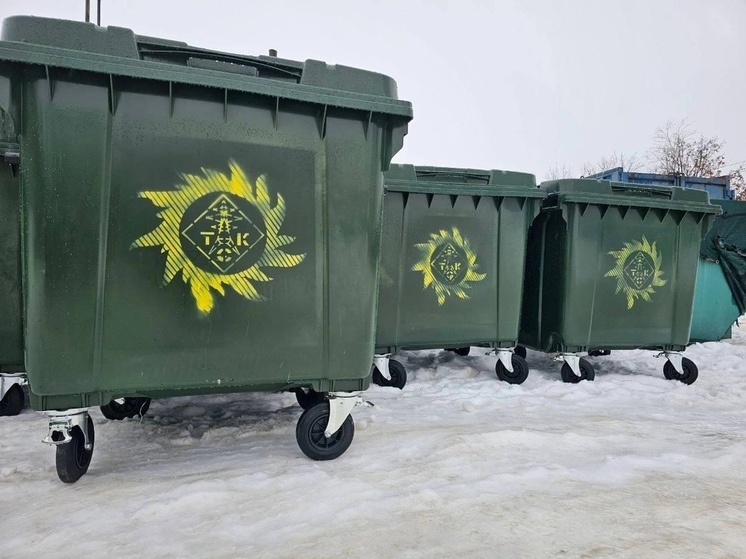 В Тамбовской области установят 740 новых мусорных контейнеров