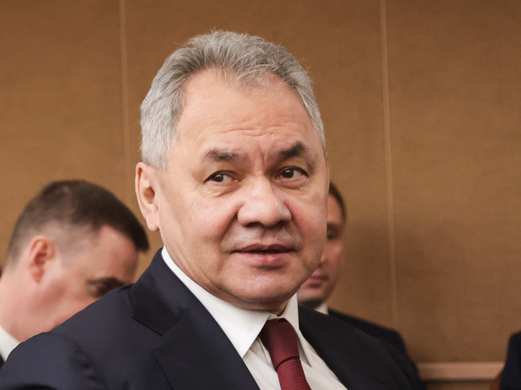 Шойгу: чем дольше продолжается СВО, тем сильнее российская армия