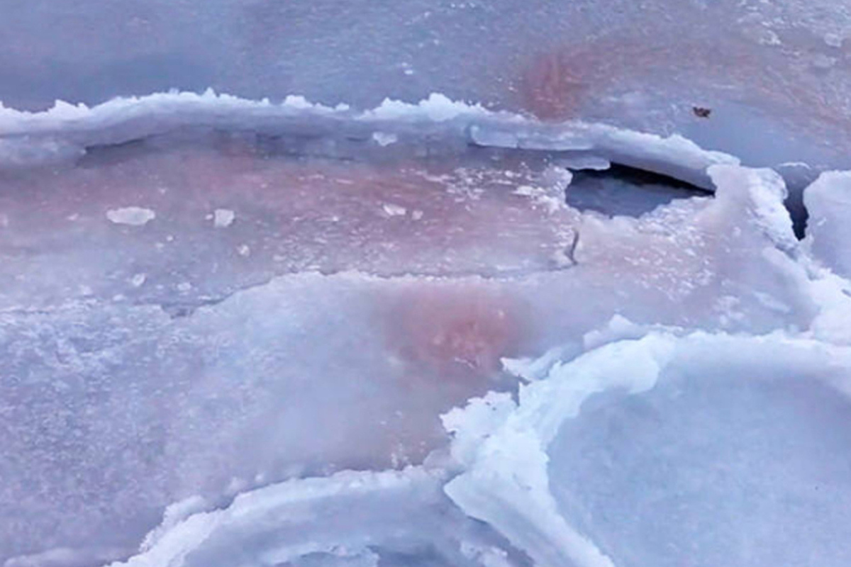 Russian scientists discovered red ice on the coast of the Sea of ​​Japan