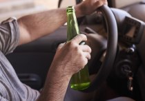 В Мамонтовском районе суд приговорил местного жителя к реальному сроку за повторную пьяную езду на машине. 