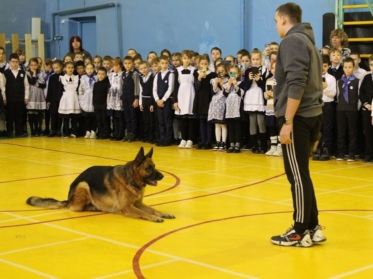 Служебные собаки в Хабаровском крае выступили перед школьниками