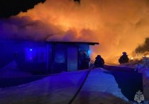 В селе Саввушка ночью произошел крупный пожар. Об этом рассказали в пресс-службе МЧС по Алтайскому краю.