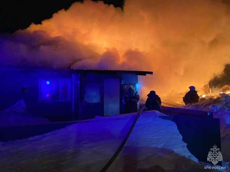 В алтайском селе  из-за выброшенной золы произошел серьезный пожар