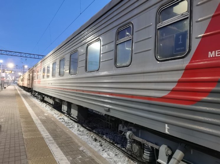 В Хабаровском крае с поезда сняли сбежавшую девочку-подростка