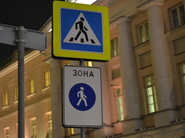 В центре Тулы двое автомобилистов припарковались посреди тротуара