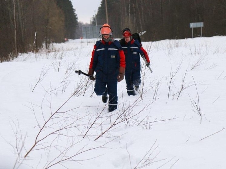 На Орловщине в населённых пунктах после ледяного дождя восстановили электроснабжение