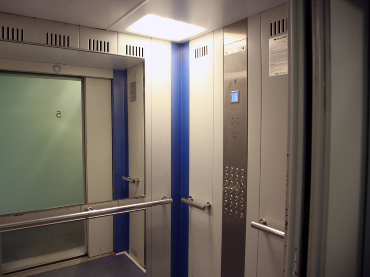 Дама с собачкой из Одинцово угробила питомца в лифте