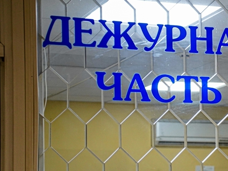 На Тулу приходится 45,5% совершенных в области преступлений