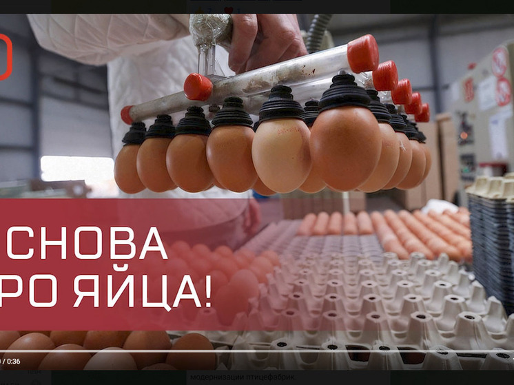 Дагестан удваивает производство куриного яйца
