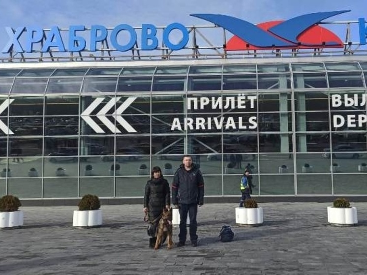 Щенок из племенного калининградского питомника поступил на службу на Вологодчине
