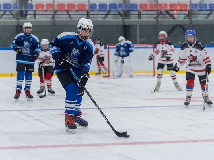 Липецкие «Снежные барсы» сыграли в хоккей в Москве