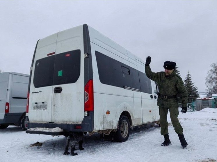 Кинологи Смоленской таможни и погрануправления ФСБ провели занятие по поиску запрещенных веществ