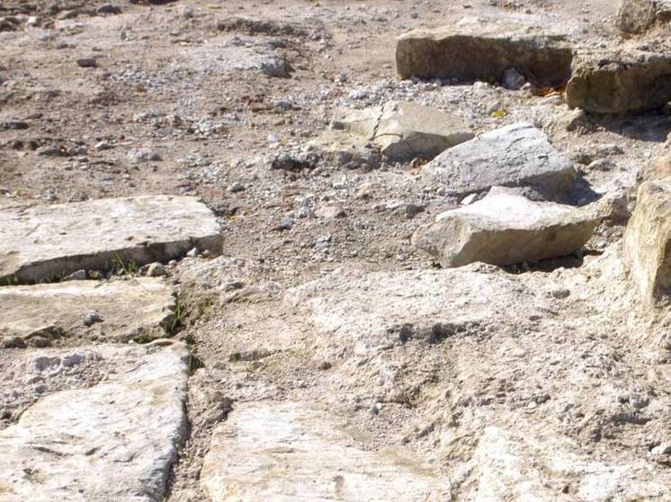 Средневековый некрополь обнаружили археологи в Дмитрове