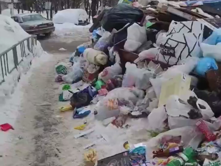 Навалы мусора заполонили подмосковное Одинцово