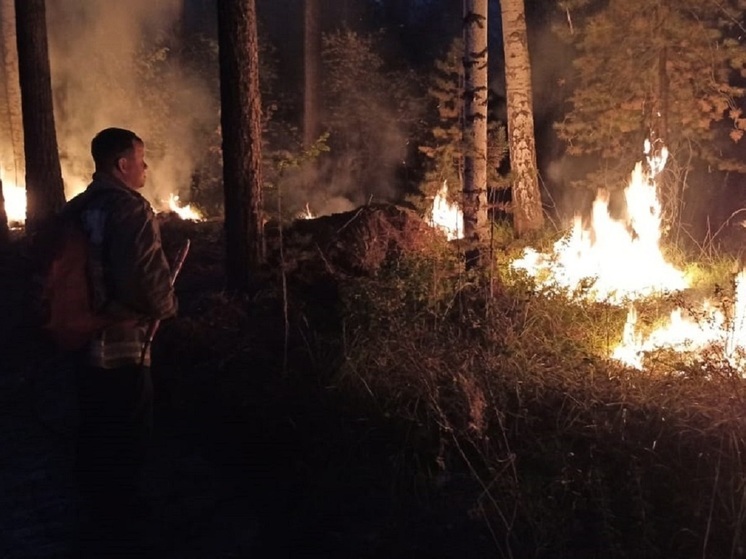На защиту свердловских лесов от пожаров выделен почти 1 млрд рублей