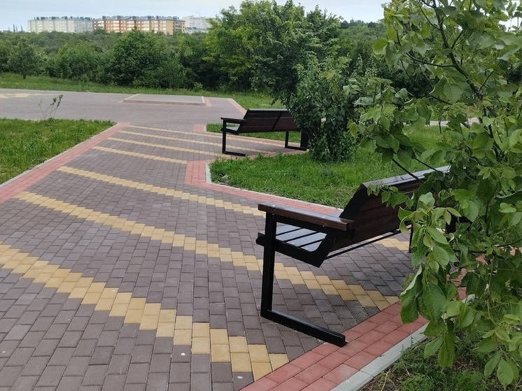 Луганчан ознакомили с проектом благоустройства сквера в центре столицы региона