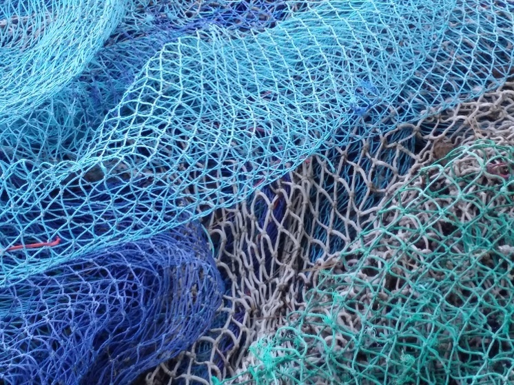 Дело о заплутавшей в незаконных сетях рыбе вновь рассмотрят в НАО