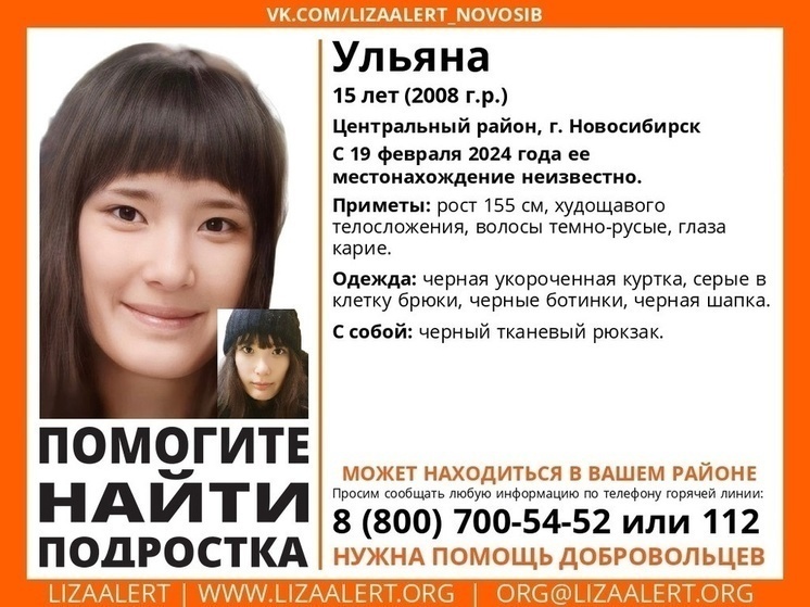 Стали известны подробности исчезновения новосибирской школьницы