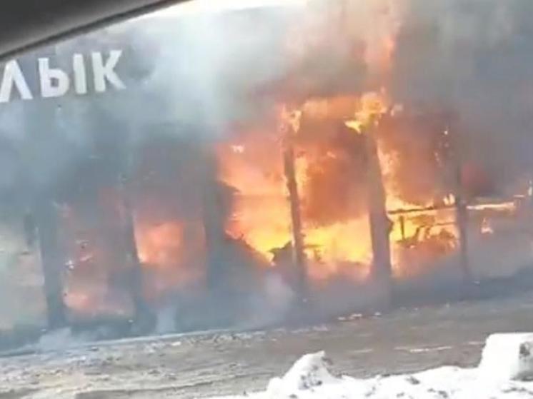 В Дядькове под Рязанью загорелась шашлычная палатка