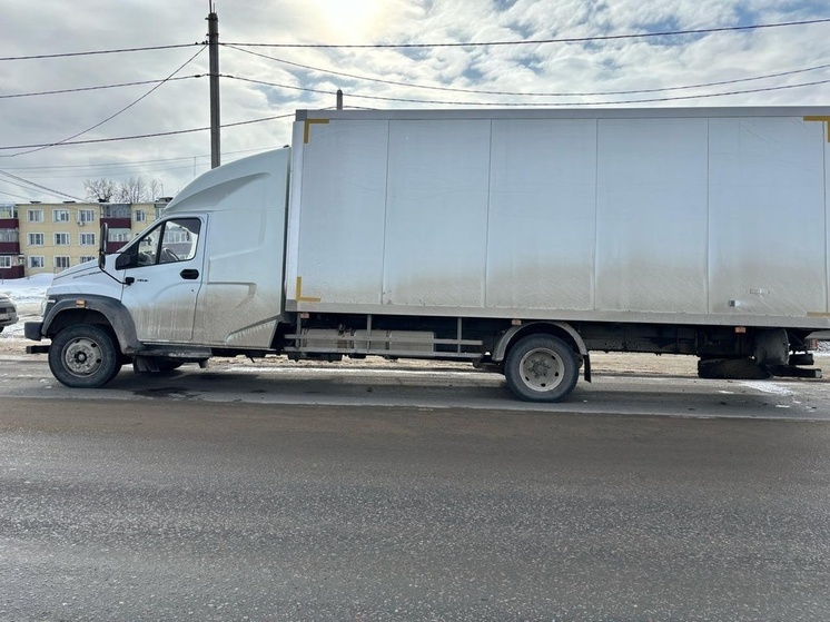 На трассе Липецк-Данков грузовик сбил 10-летнюю девочку