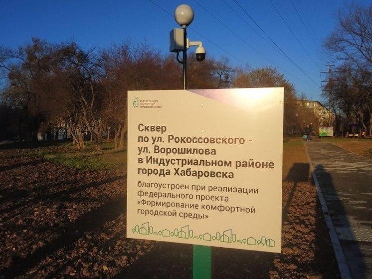 В Хабаровском крае активных жителей приглашают стать волонтерами