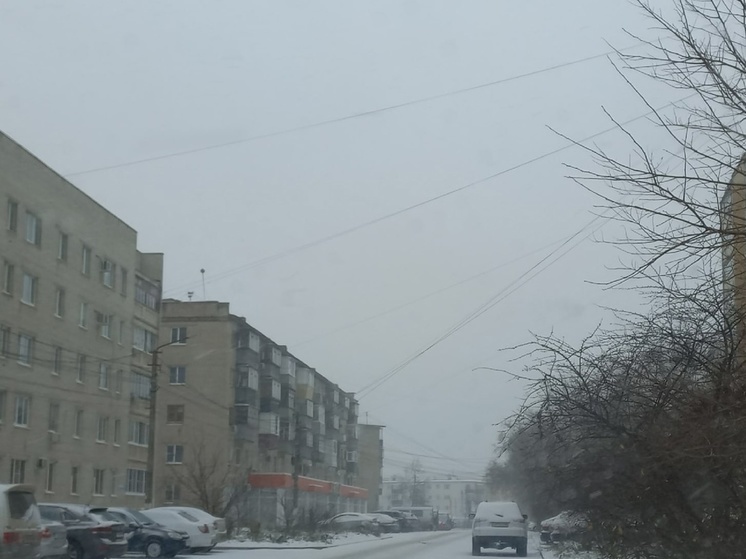 В Курской области 23 февраля ожидается дождь и мокрый снег