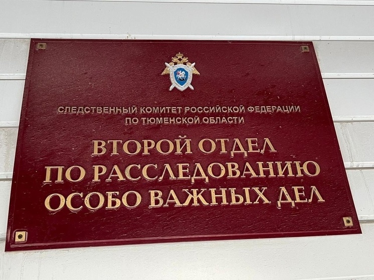 В Тюмени руководитель ООО задолжал налоговой 31 млн рублей