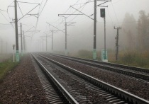 Второй за неделю пассажир погиб на железнодорожной платформе «Рабочий поселок» на западе Москвы в четверг утром