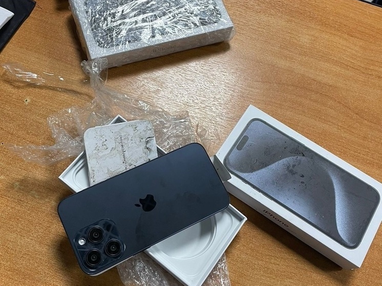 Петербуржец помог задержать мошенника, продававшего муляжи iPhone