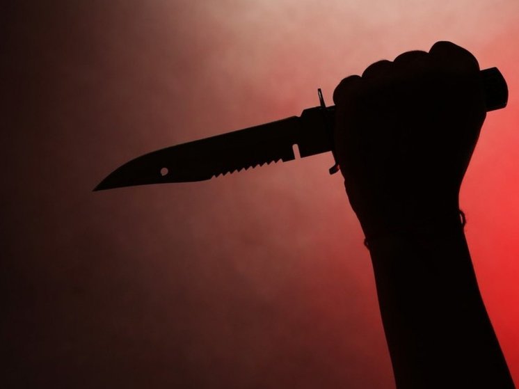 Два года колонии получил ударивший ножом 15-летнего сына брянец