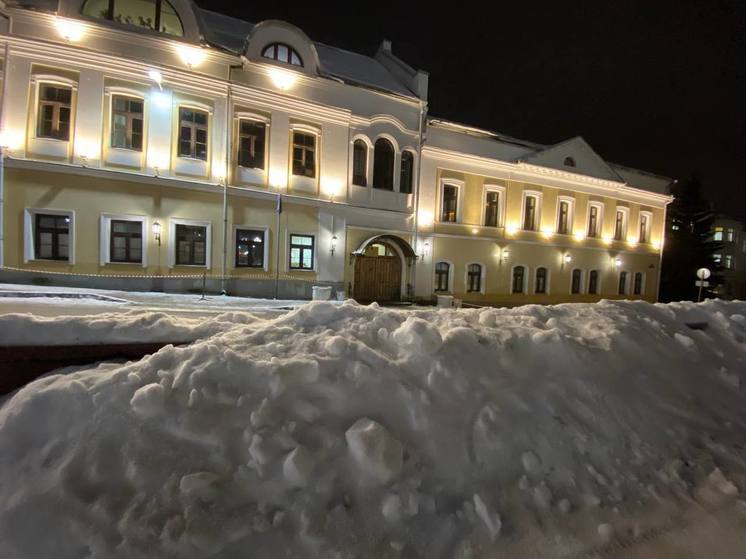 Денисов предложил плавить снег в Калуге