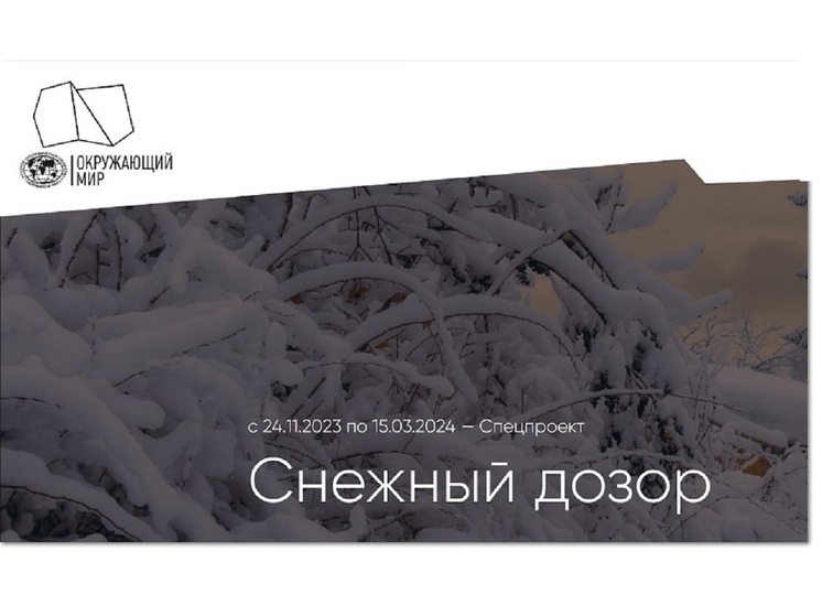 Костромское РГО предлагает населению стать участниками «Снежного дозора»