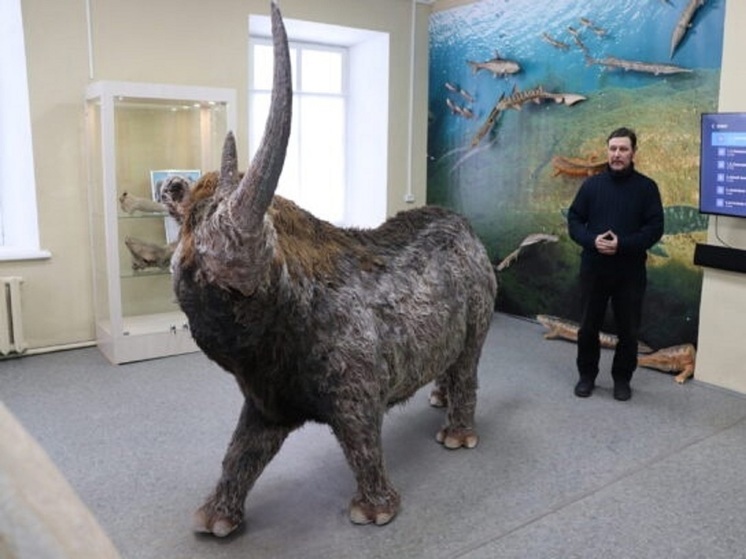 В краеведческом музее города Макарьева посетители увидят голову мамонта
