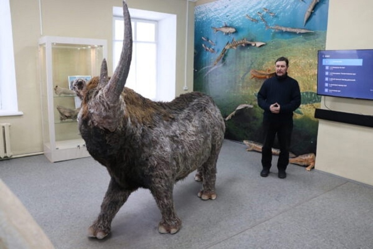 В краеведческом музее города Макарьева посетители увидят голову мамонта