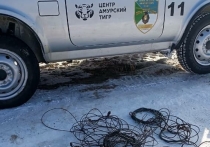 В Ванинском районе Хабаровского края инспекторам охотнадзора пришлось стать спасителями животного мира