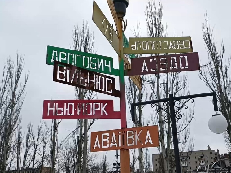 Welt: ВСУ приказали сжечь в Авдеевке все и оставить раненых при отступлении