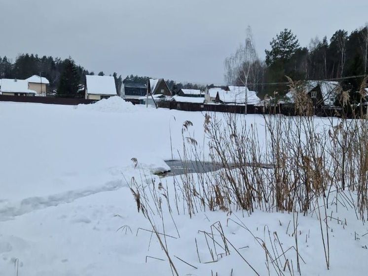 Семилетний мальчик утонул в пруду в подмосковном Богородском