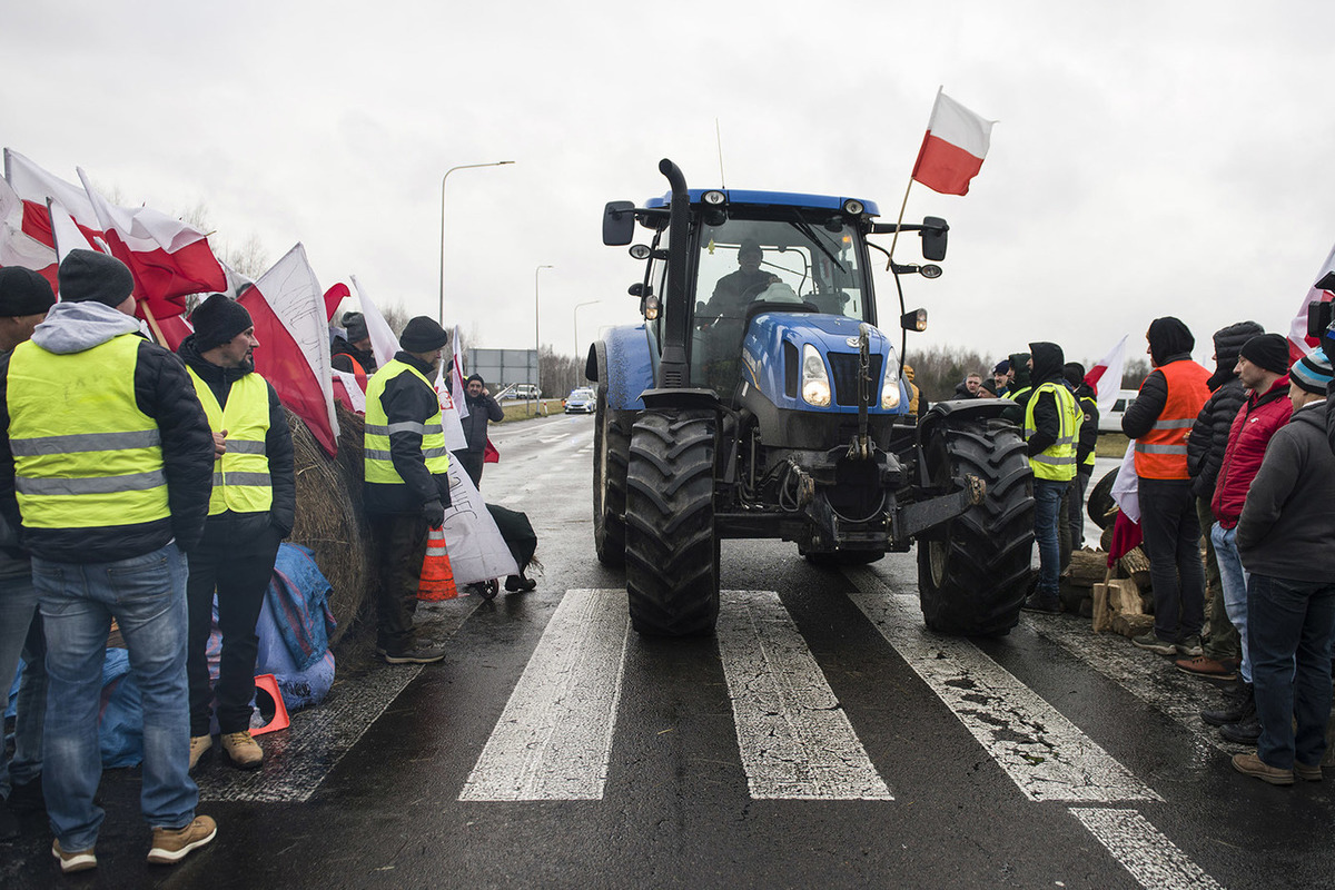 Grain fights: trying to annoy Ukraine, Polish farmers went against the will of the United States